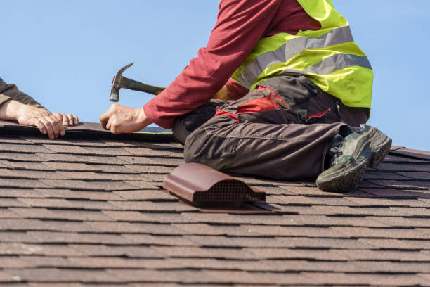 Best Roof Gutter Cleaning  in Steubenville, OH