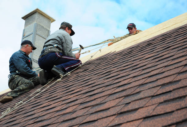 Best Roof Maintenance Services  in Steubenville, OH