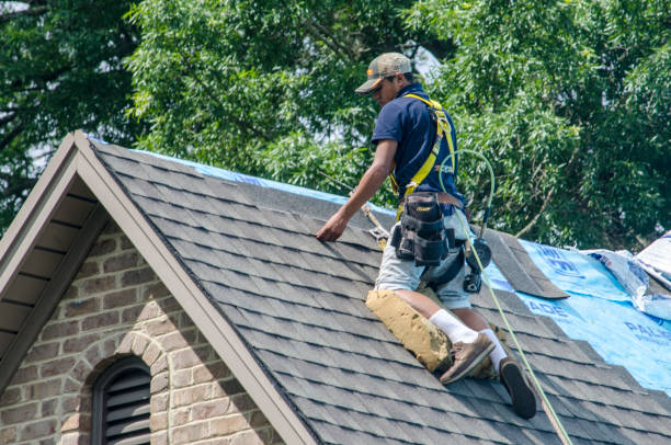 Professional Roofing Contractor in Steubenville, OH